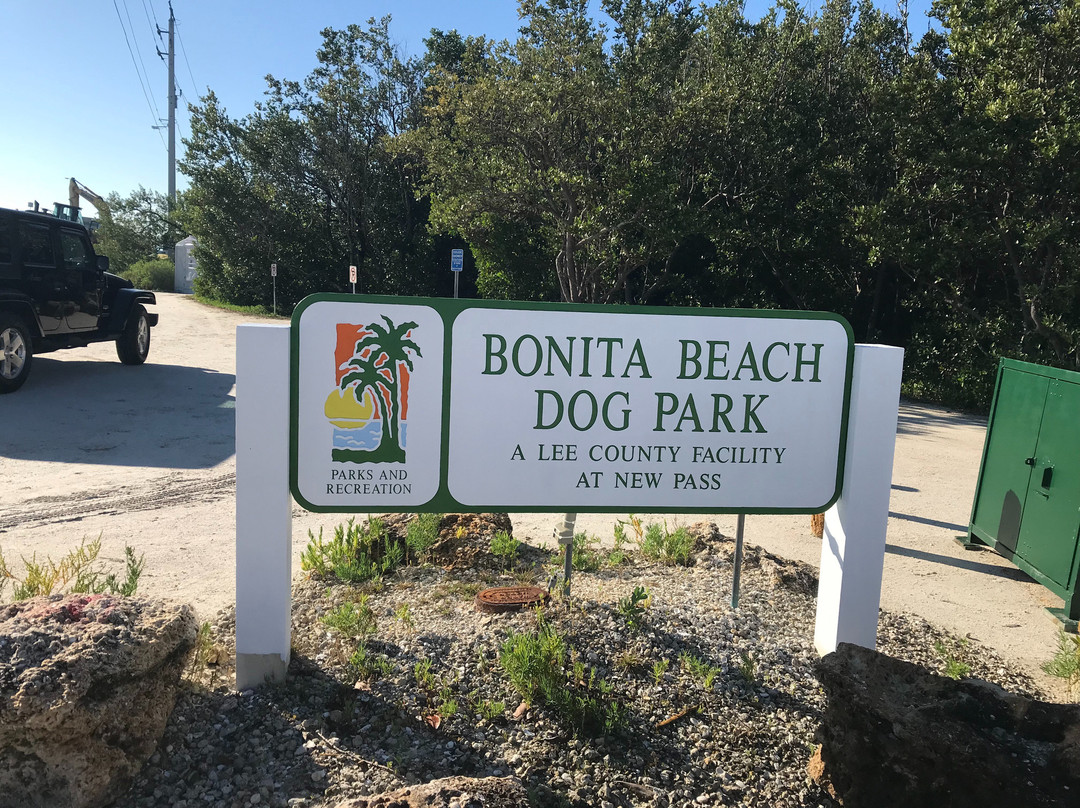 Dog Beach Park景点图片