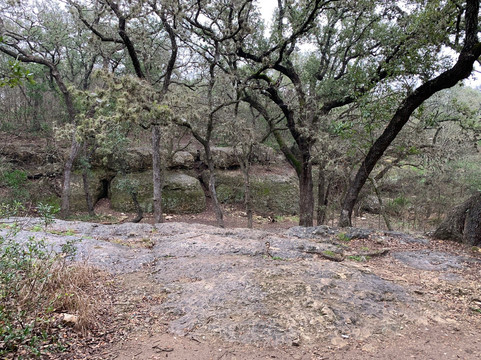 Cathedral Rock Park-圣安东尼奥市必去景点