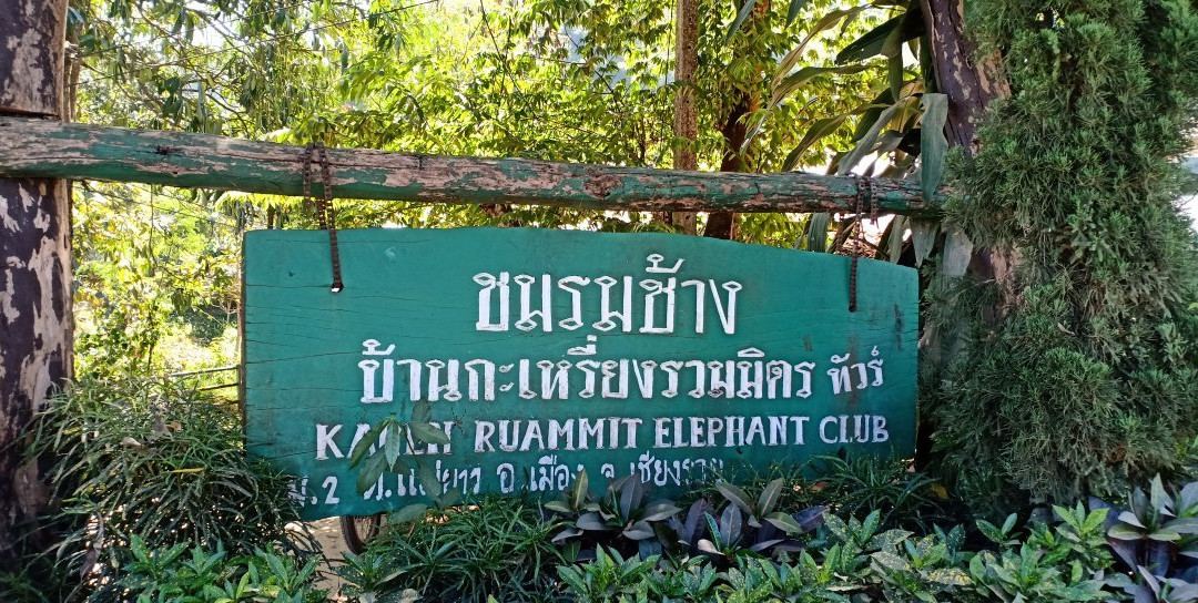 Elephant Camp Karen Ruammit Village景点图片