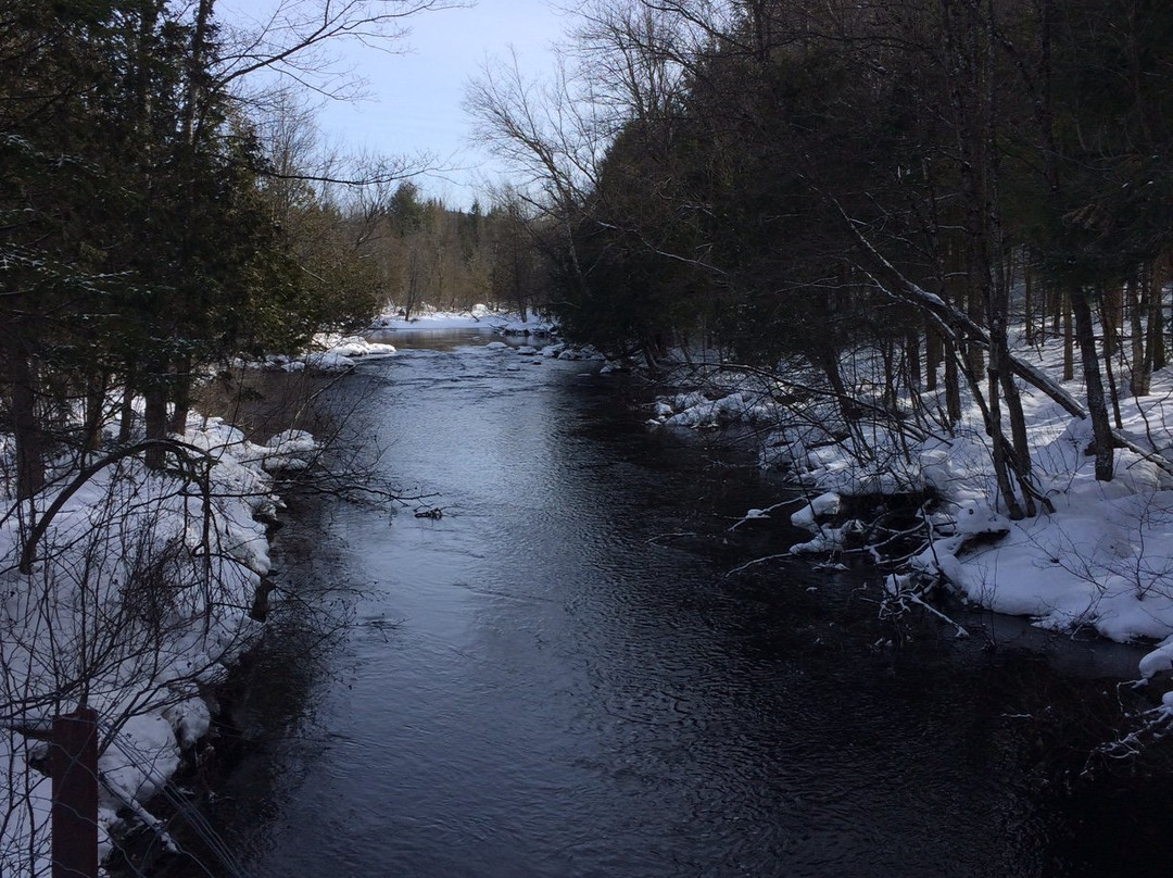 Residence Inn North Conway主图