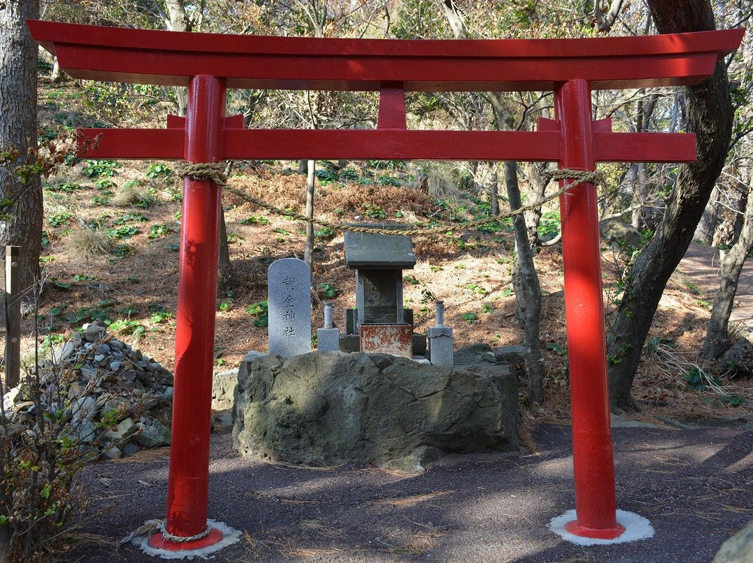 Golden Shrine景点图片