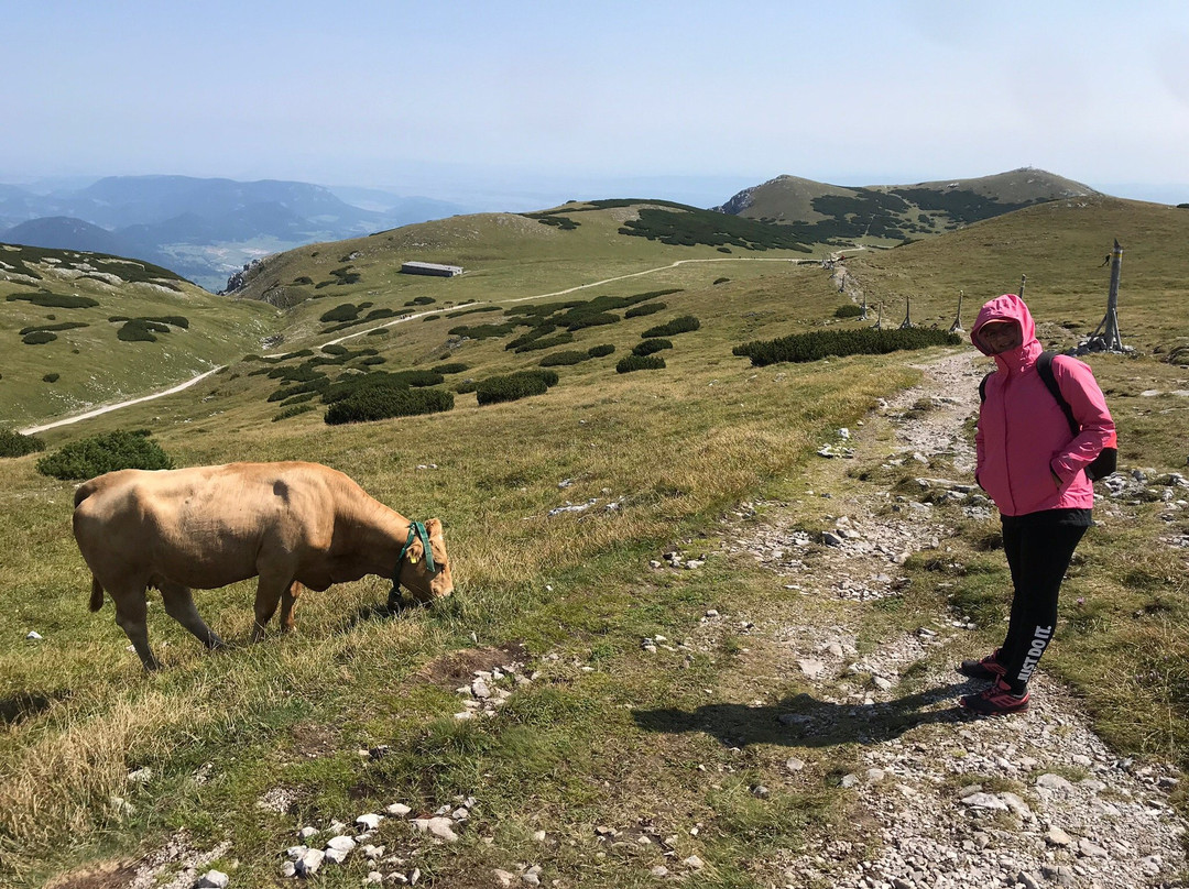 Mt. Schneeberg-Puchberg am Schneeberg必去景点