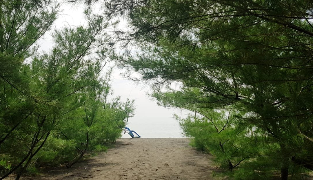 Cemara Beach-巴纽旺宣必去景点
