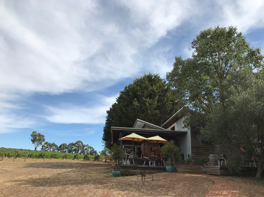 Captains Creek Organic Wines-Blampied必去景点