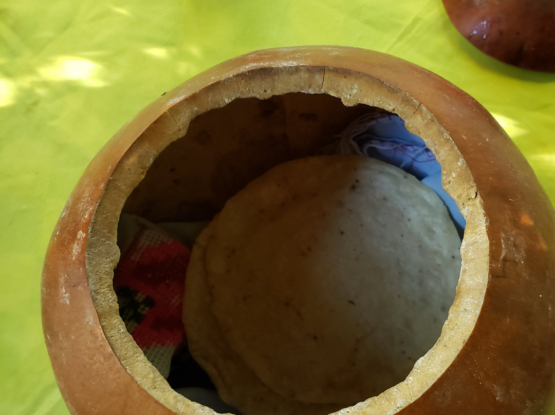 Miguels Holbox Transfer-Chiquila必去景点