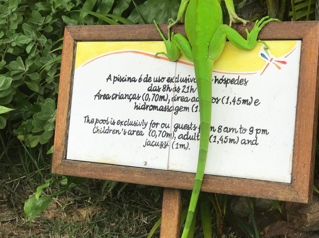 Pousada Jeribá主图