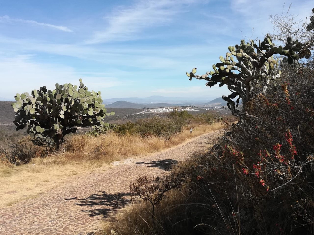 Parque Nacional El Cimatario景点图片