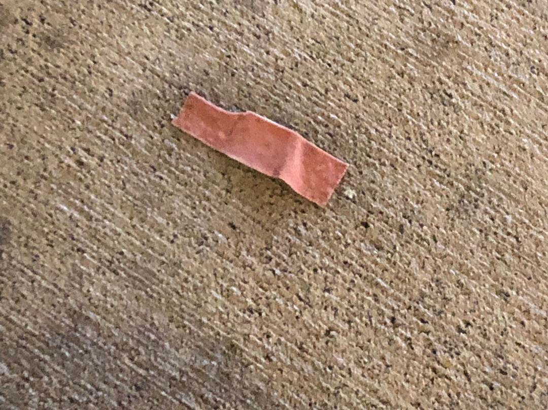 Surfari Joe's Indoor Wilderness Water Park-Watervliet必去景点