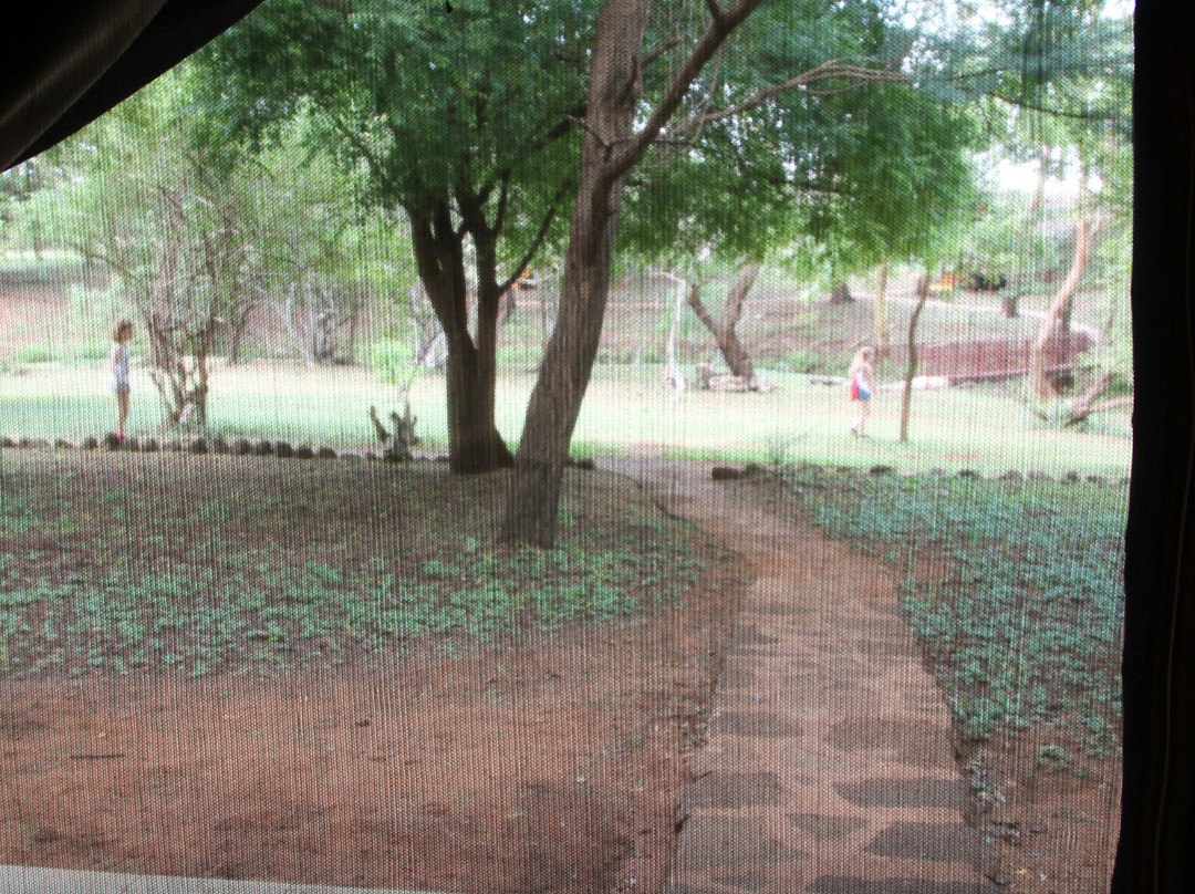 Voyager Ziwani Camp主图