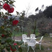 Magnolias Cottage主图