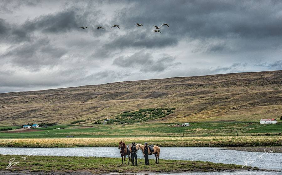 霍夫瓦特恩斯达尔宾馆主图