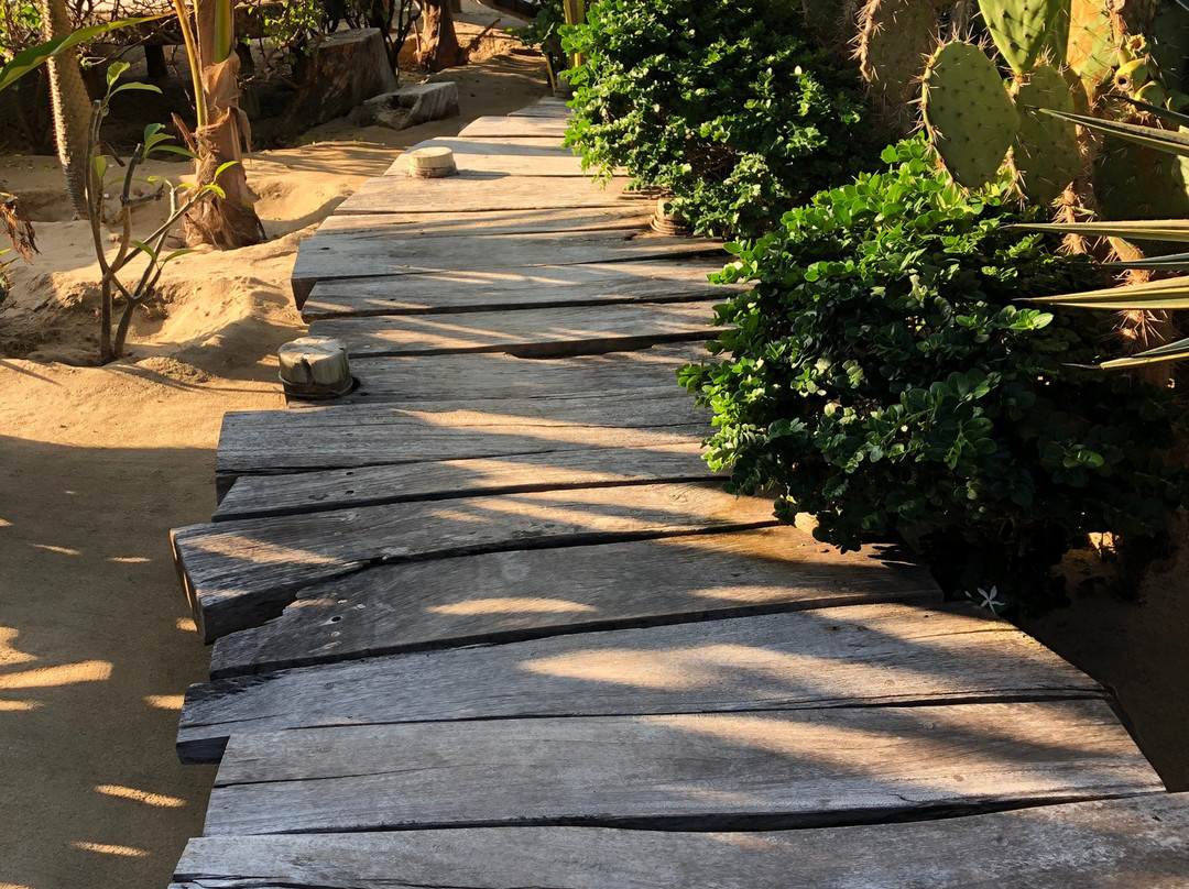 Amalys Luxury Resort主图