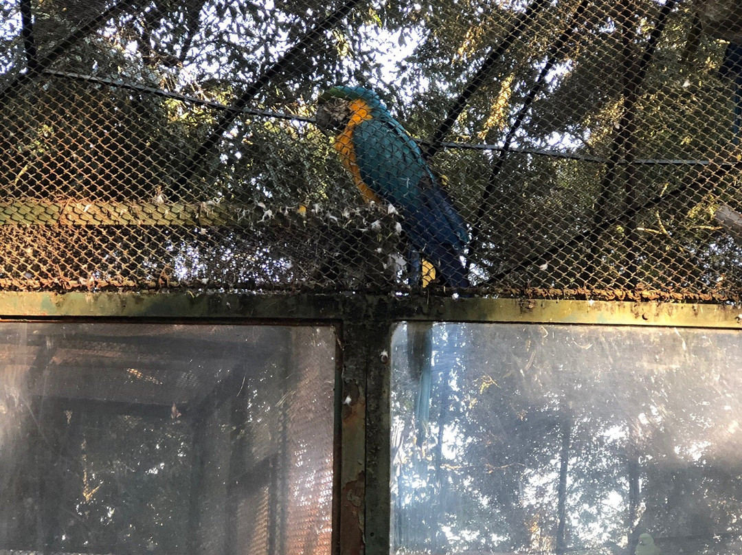 Bengal Natural History Museum景点图片