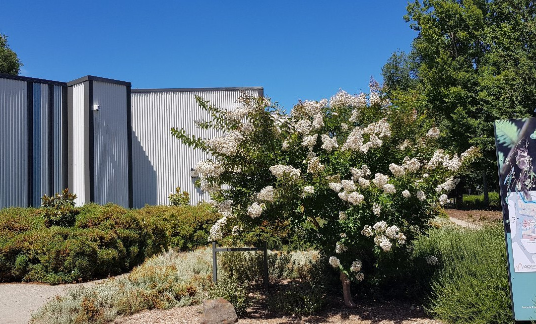 Marysville Information & Regional Artspace景点图片