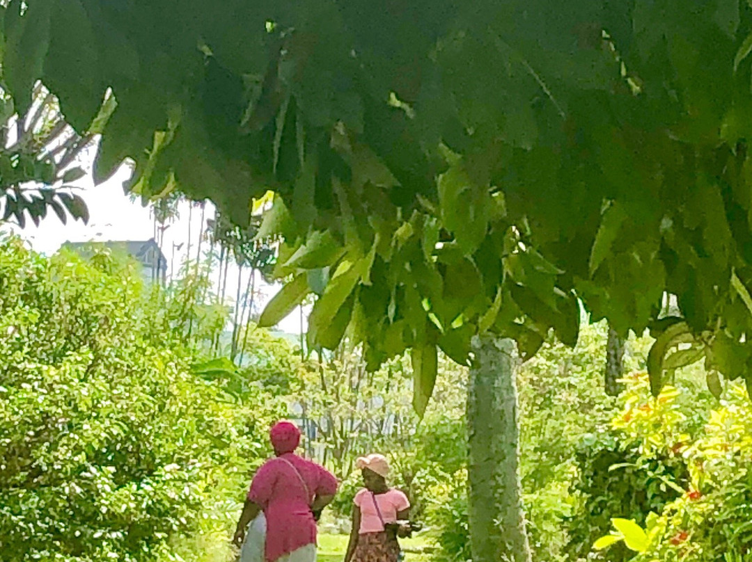 The Eldorado Inn主图