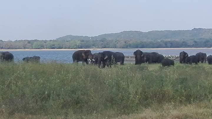 JS Lanka Tours-North Western Province必去景点