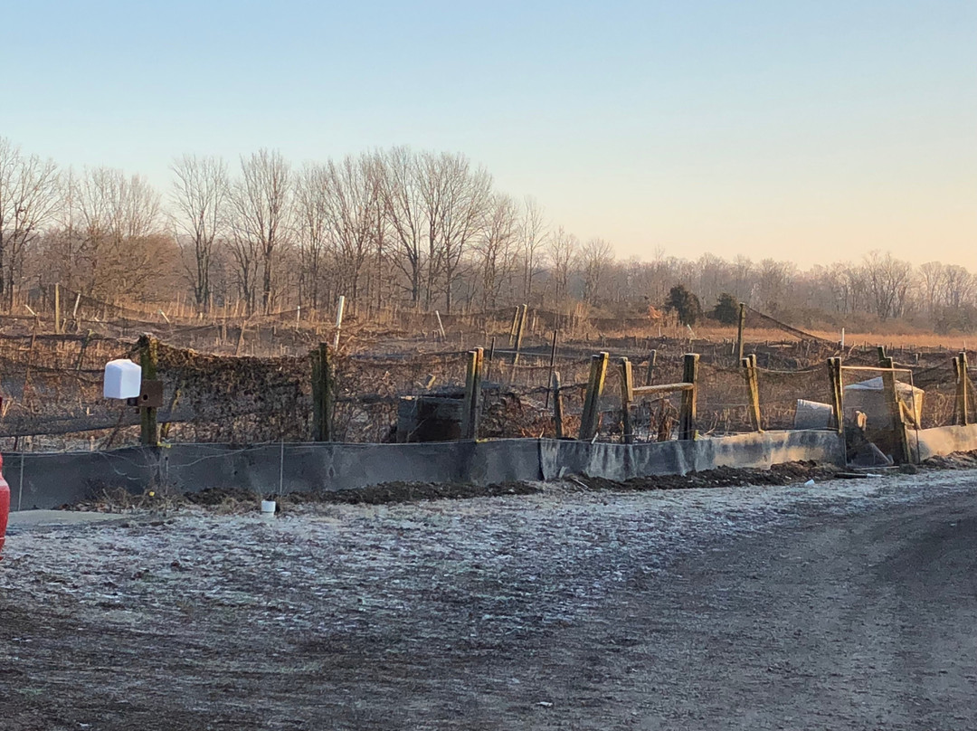 Buckeye Pheasant Hunting Preserve-New Lebanon必去景点