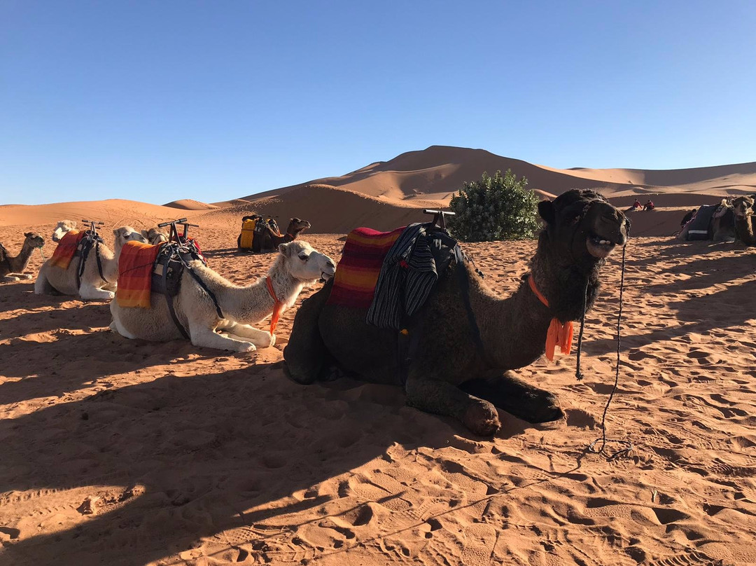 Auberge La Caravane主图