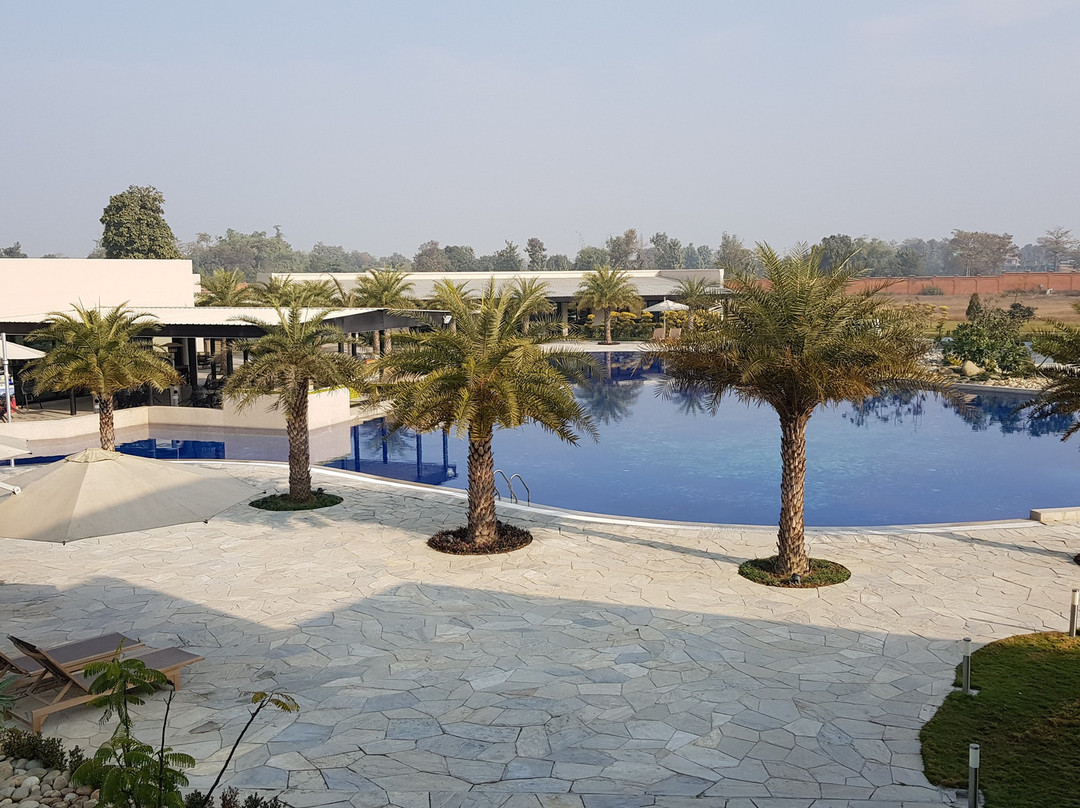 Tiger Palace Resort主图