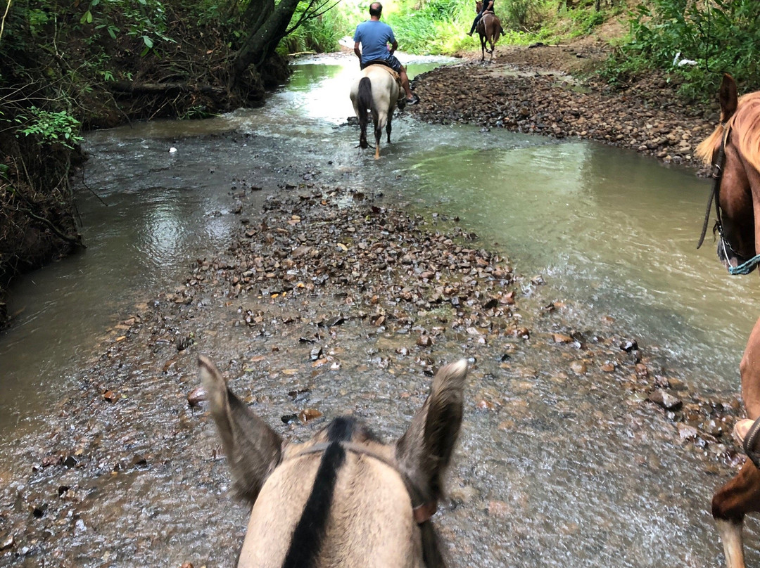 Rancho do Kajuba-Sao Pedro必去景点