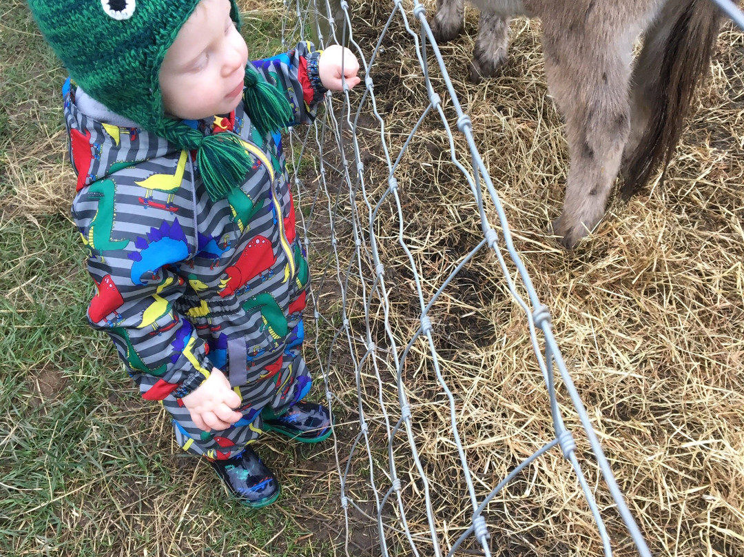 Plantasia-Atherstone必去景点