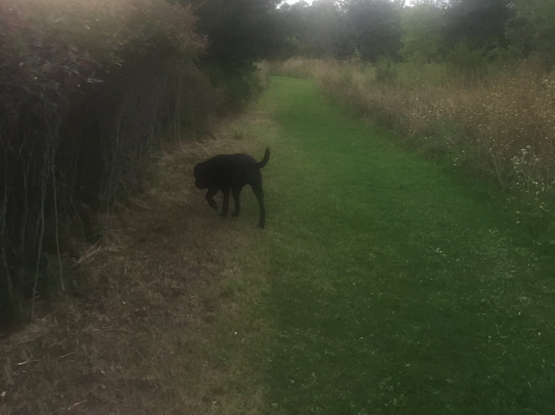 Owl's Nest Suites主图