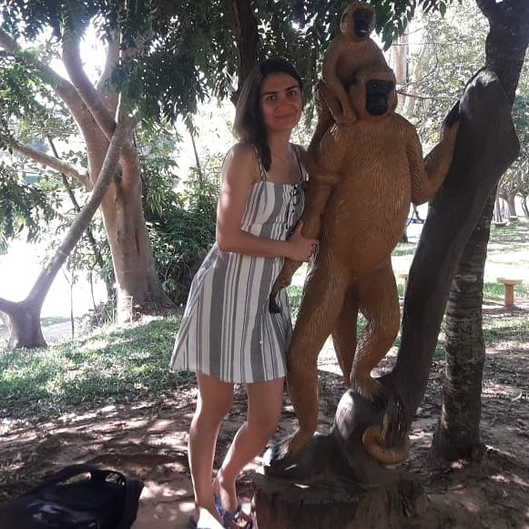 Pousada Passaredo主图