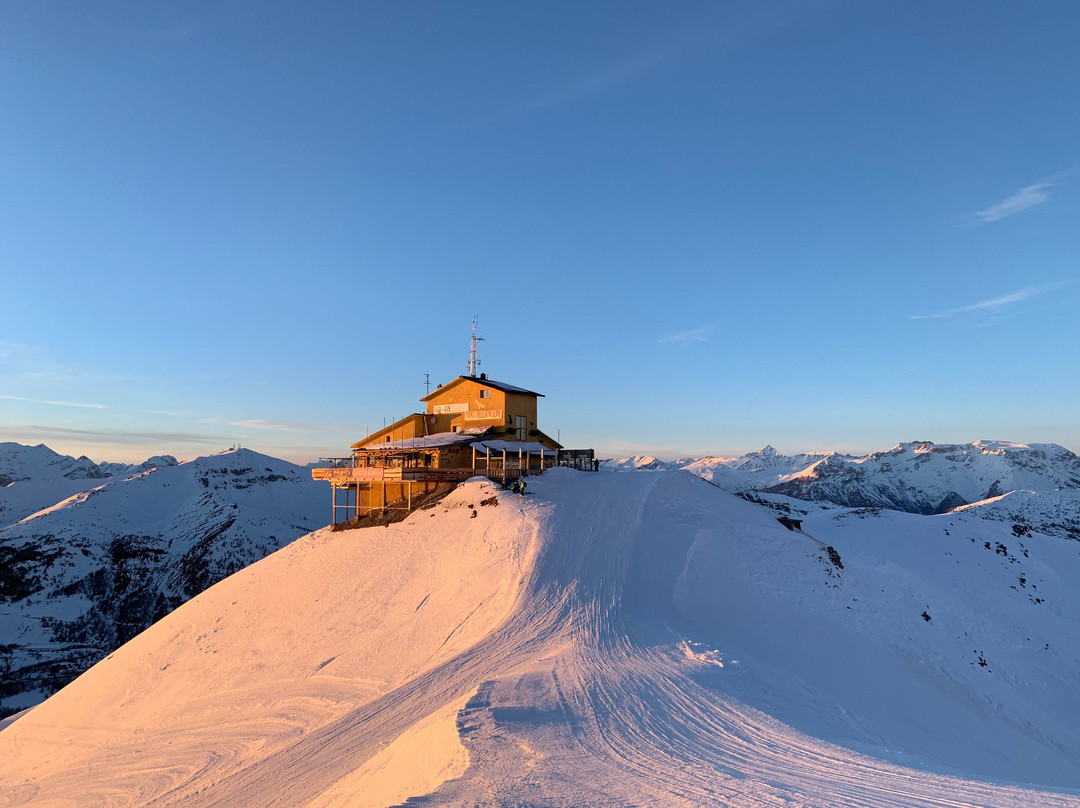 Tana Della Volpe主图