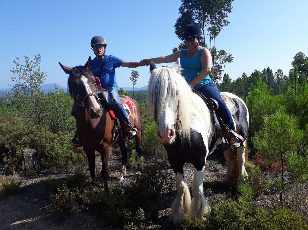 Horseback riding Portugal Adventures景点图片