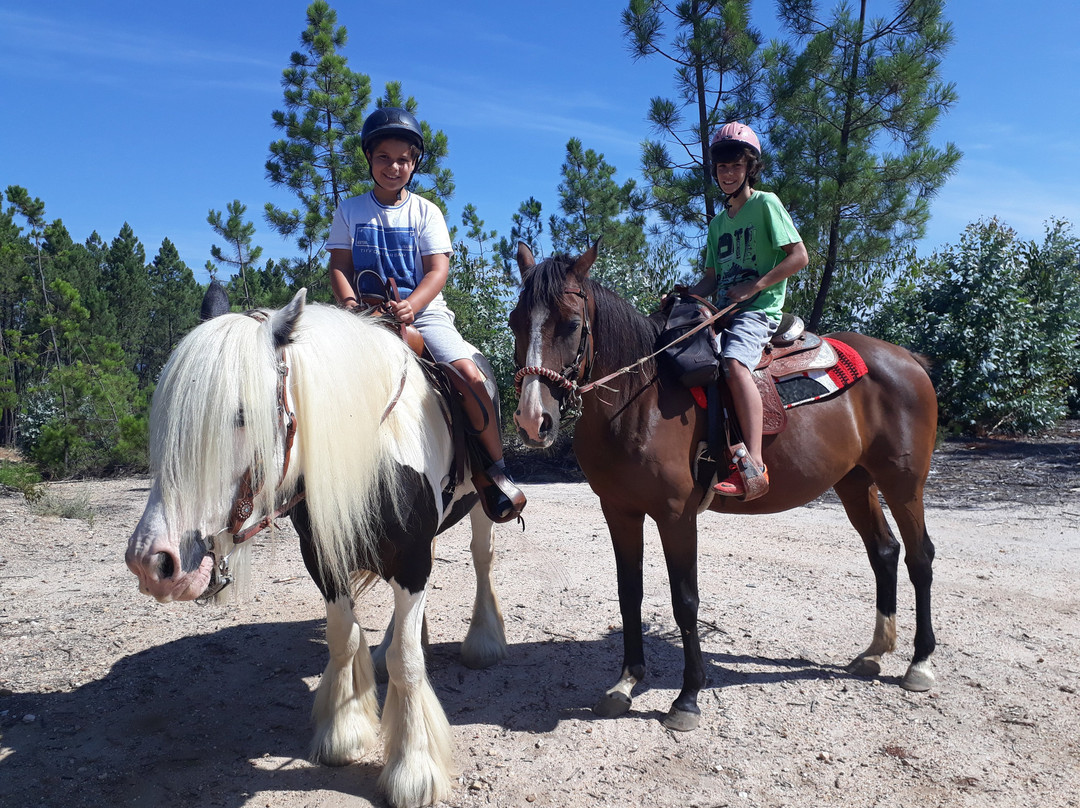 Horseback riding Portugal Adventures景点图片
