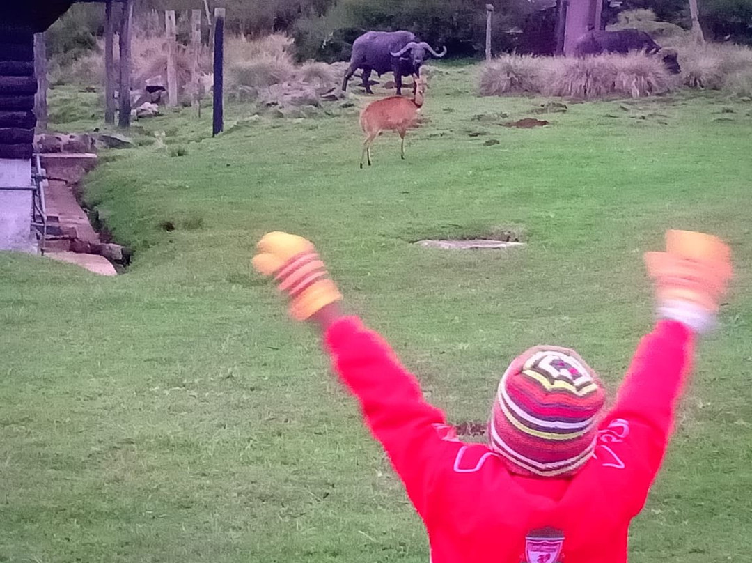 The Fishing Lodge Guest House主图