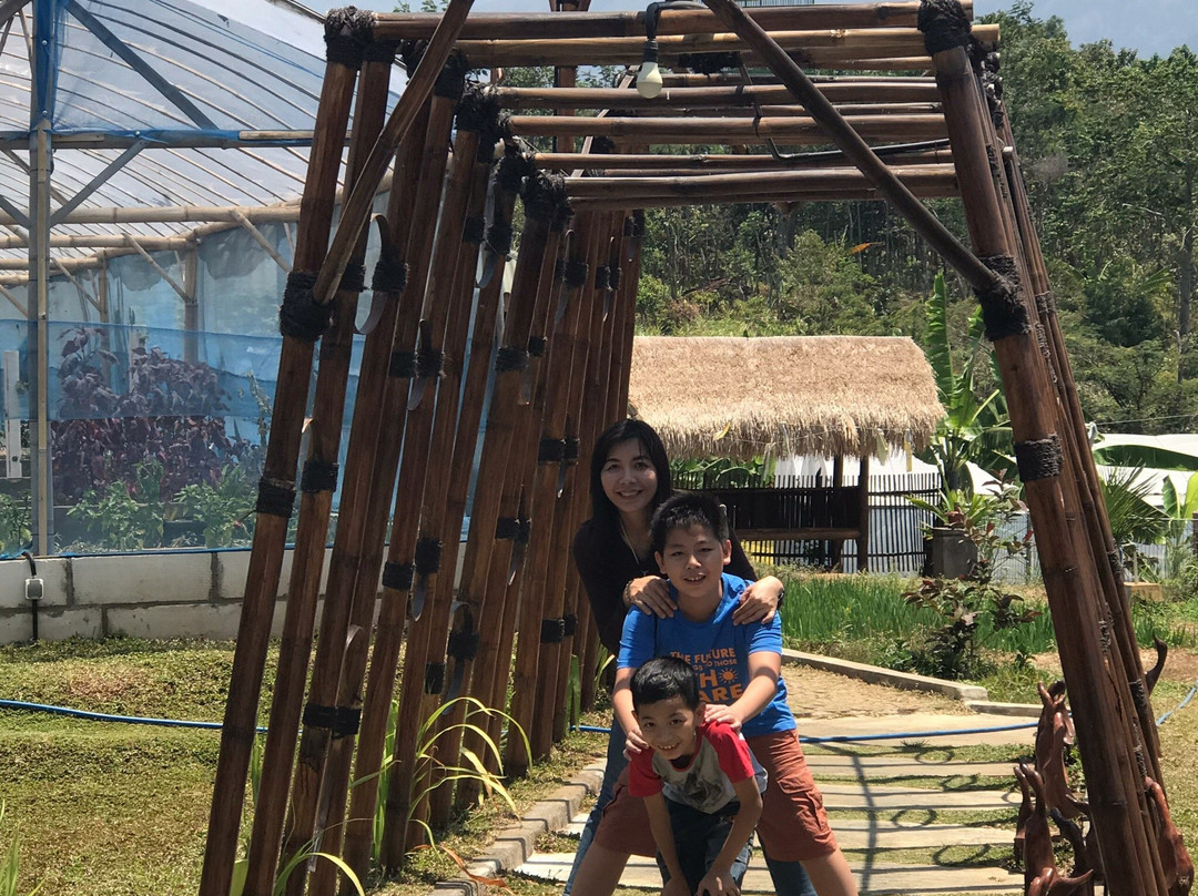 Kebun Pak Budi-巴苏鲁安必去景点