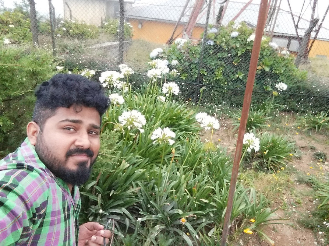 PS Budget Taxi tangalle-唐卡拉必去景点