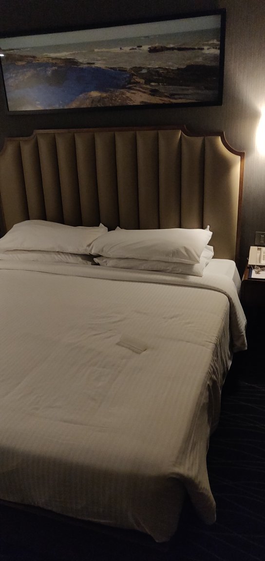 Hotel Sun'N'Sand-官方