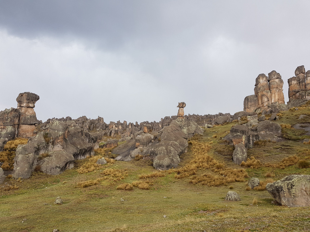 Bosque de piedras de Huayllay-Cerro de Pasco必去景点