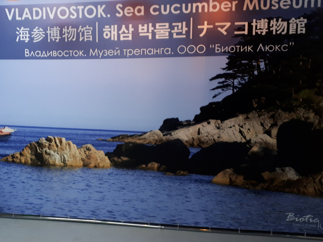 Sea Cucumber Museum-海参崴必去景点