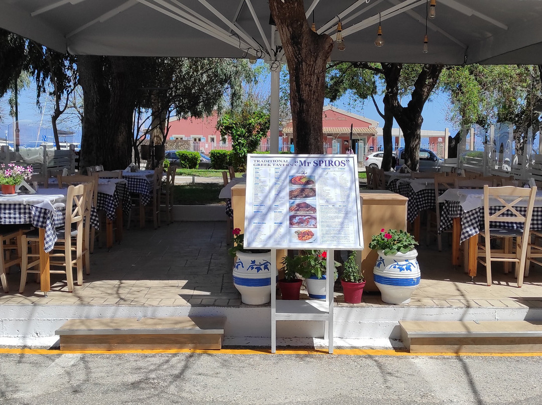 Mr. Spiros Taverna