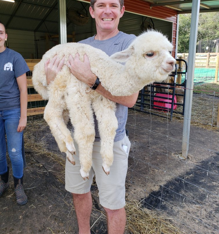 Shaw Farms-纽南必去景点