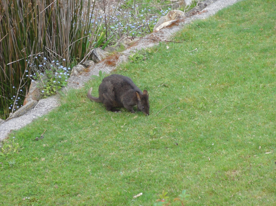 Waterview Gardens B&B主图