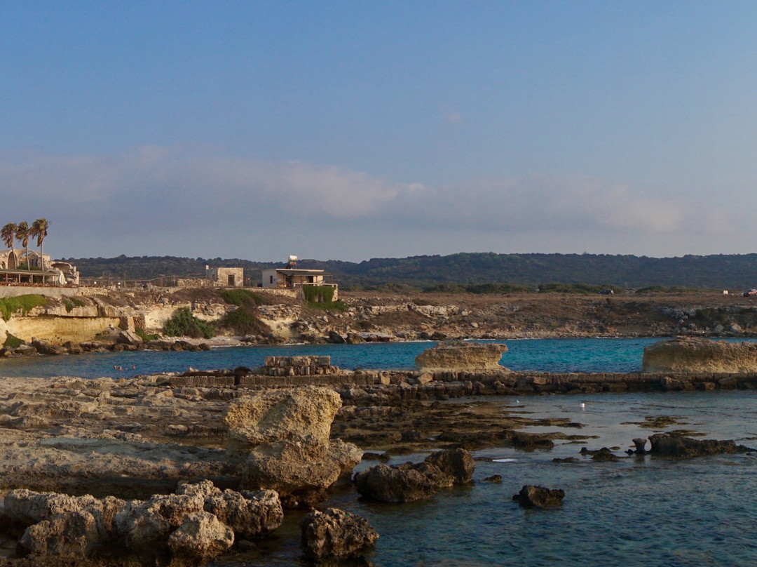 Oasis At Ayfilon主图