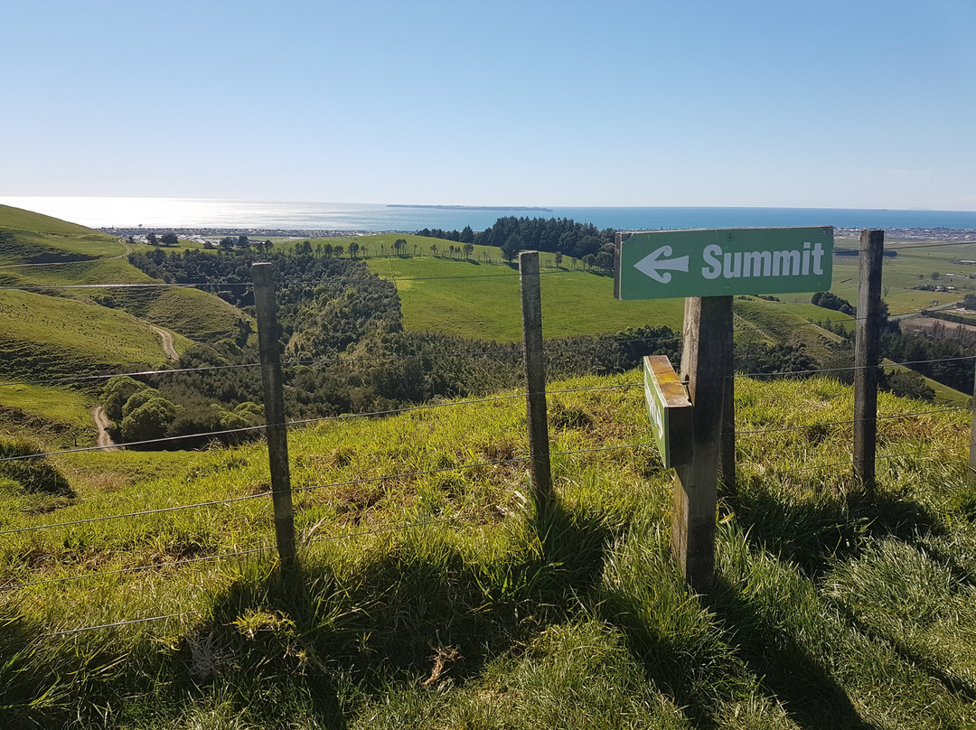 Papamoa Hills Cultural Heritage Regional Park景点图片