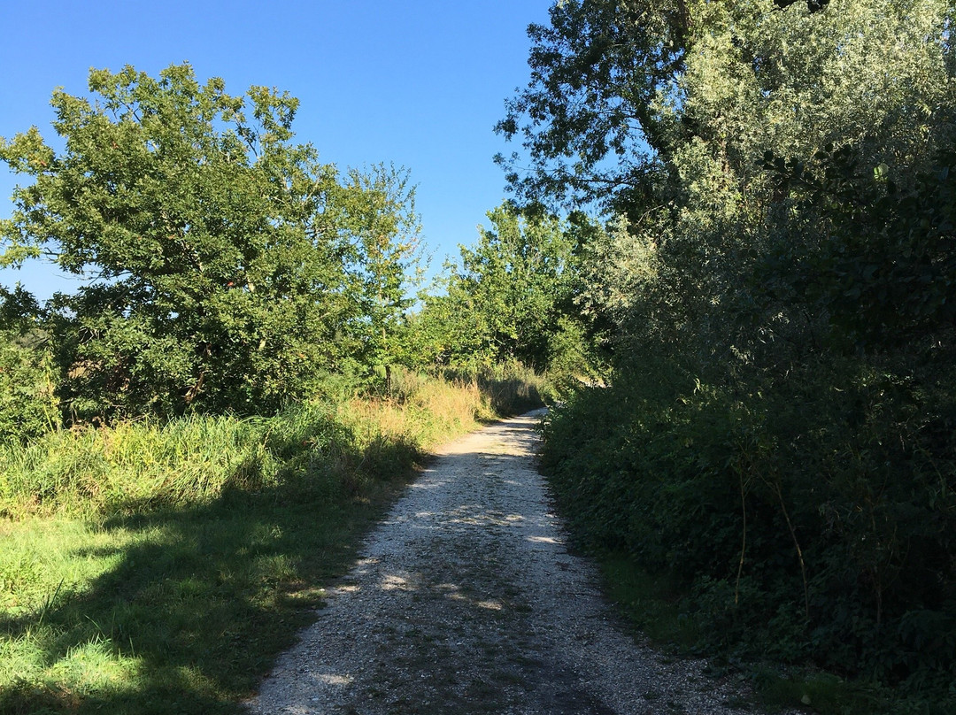 Reserve Naturelle Marais De Bruges景点图片