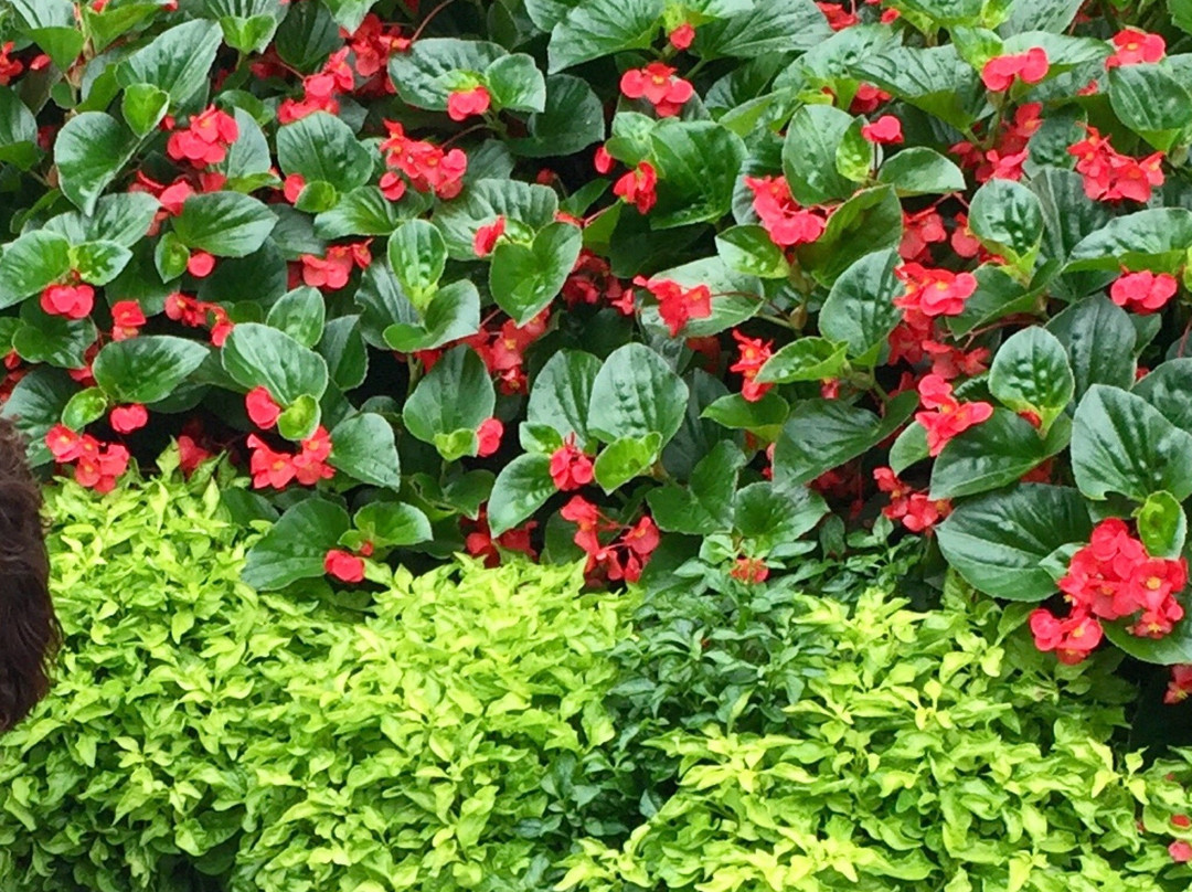 Courtyard Columbia Northeast / Fort Jackson Area主图