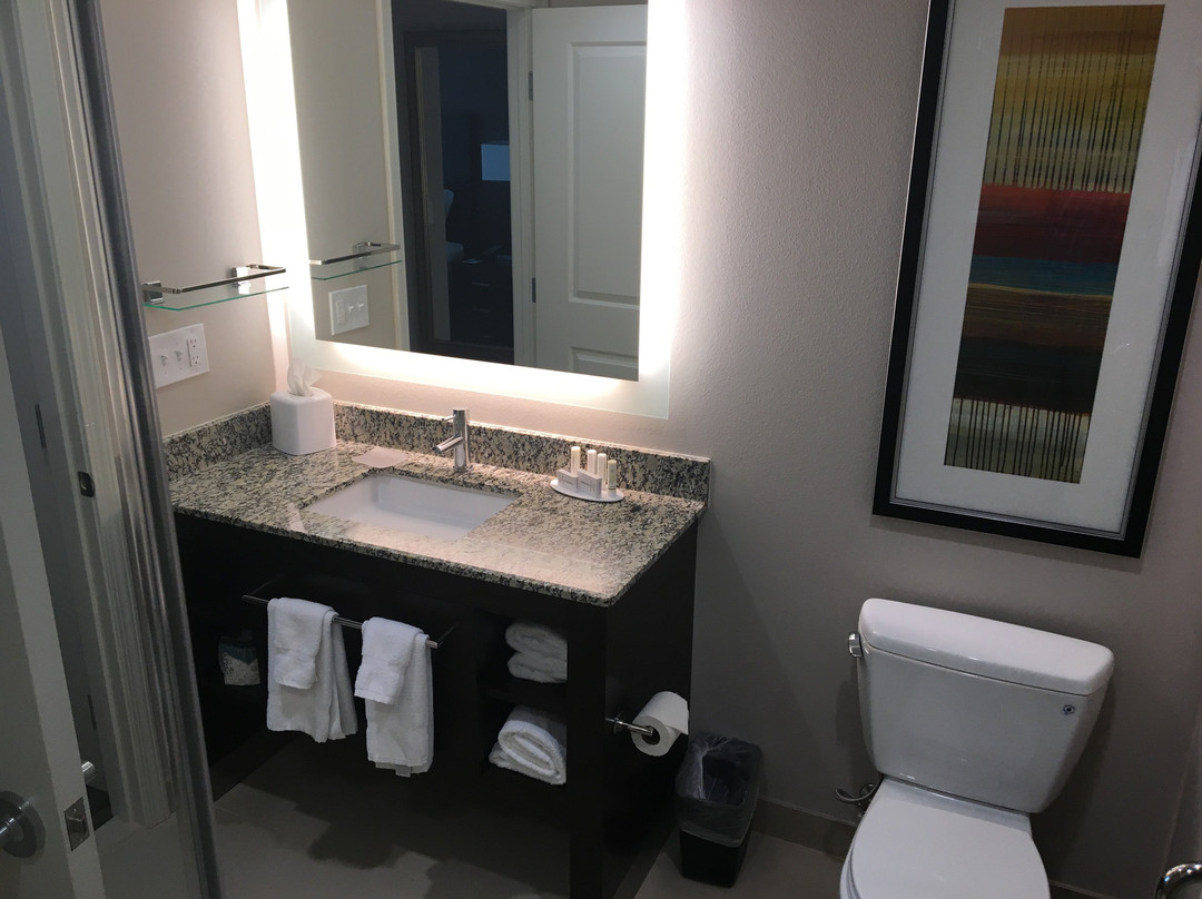 Residence Inn by Marriott Seattle Sea-Tac Airport主图