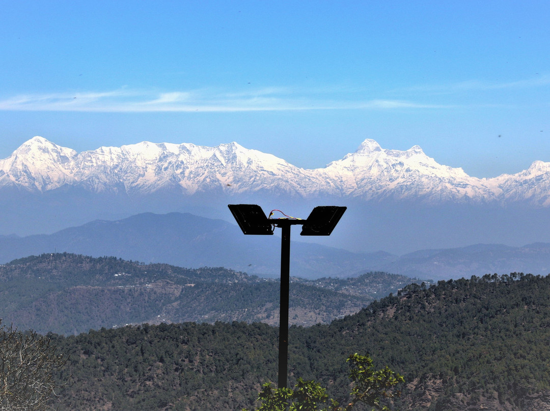 Nest And Hives主图