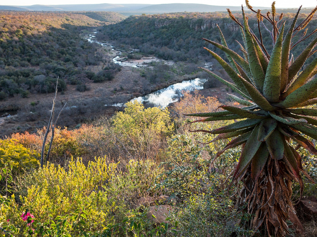 Jembisa Bush Home主图
