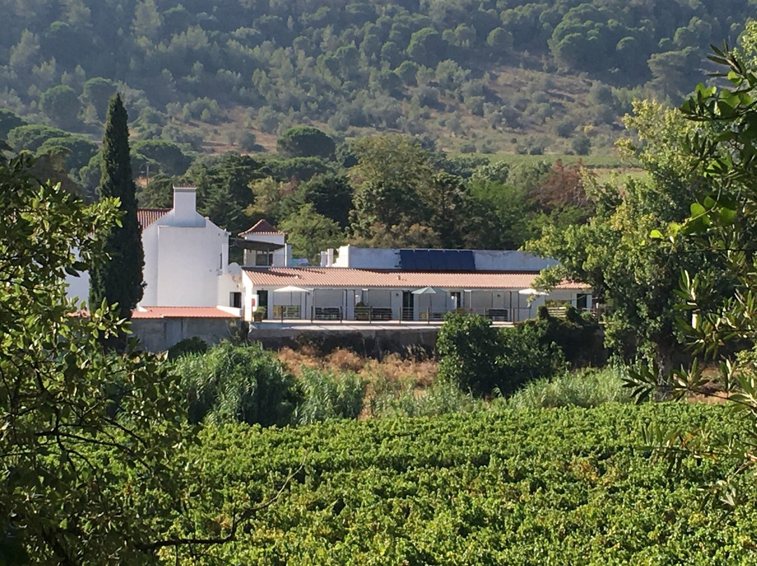Quinta do Alcube景点图片