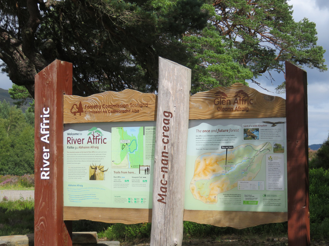 Glen Affric National Nature Reserve景点图片