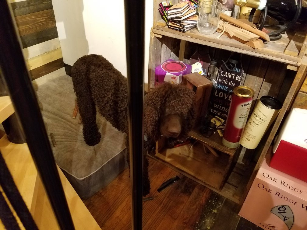 Celtic Ranch-Weston必去景点