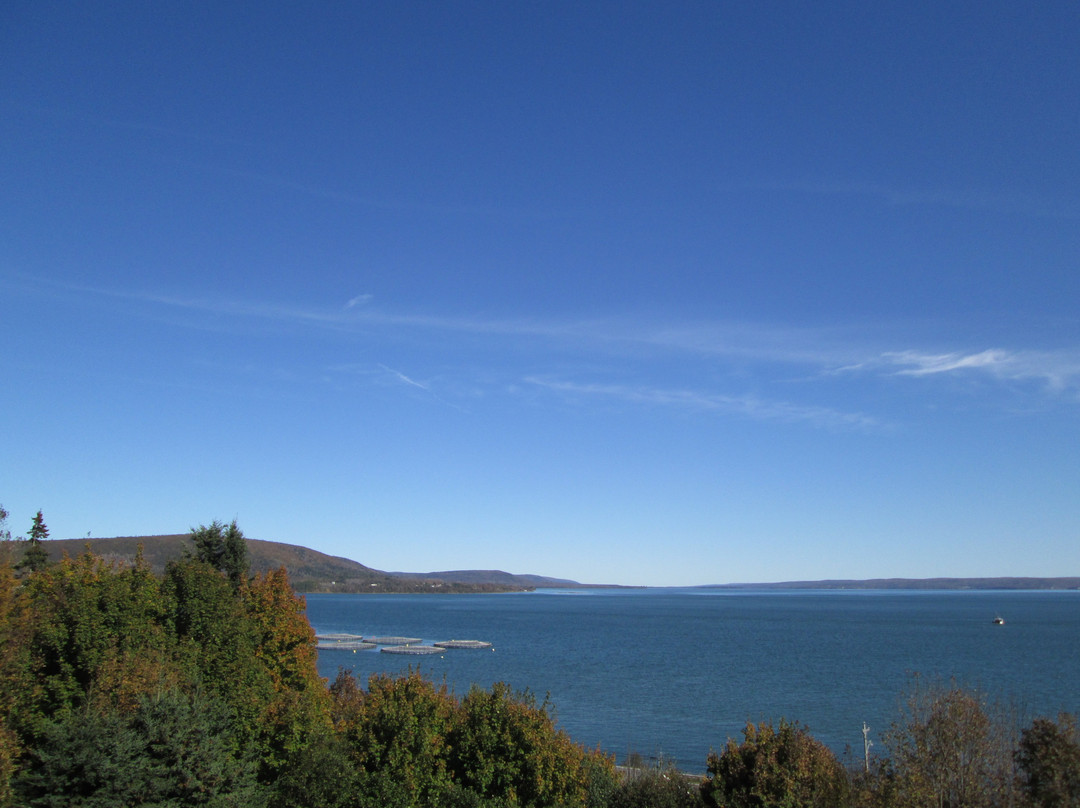 Ocean Hillside Bed And Breakfast主图